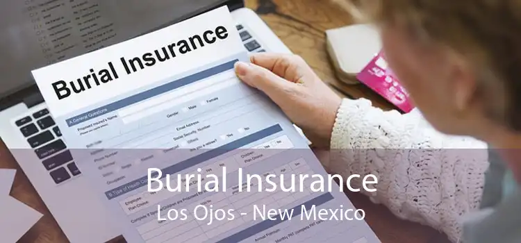 Burial Insurance Los Ojos - New Mexico